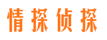 建阳找人公司